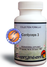 Cordyceps 3™ by Evergreen Herbs